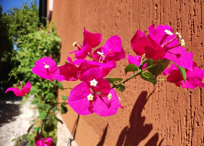 Casapatrizia B&B Sirmione