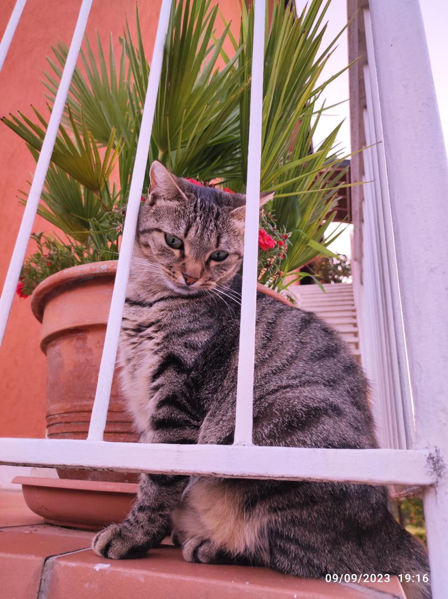Bed & Breakfast Casa Patrizia Sirmione